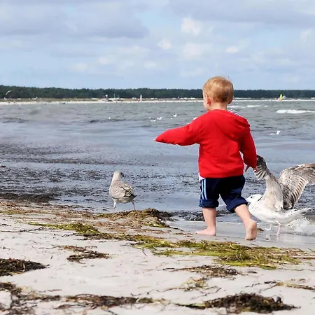 Deichblick - Gemuetliches Im Herzen Von Apartmán Zingst
