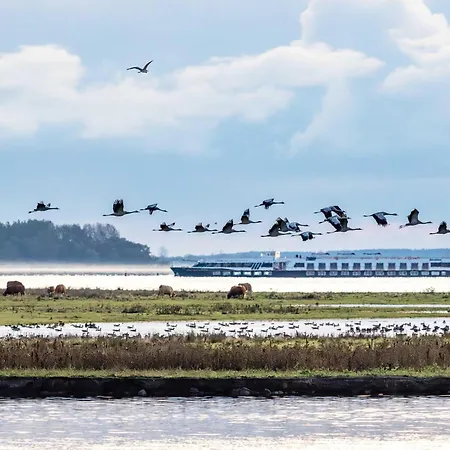 Deichblick - Gemuetliches Im Herzen Von Zingst