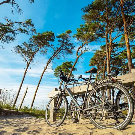 Apartmán Deichblick - Gemuetliches Im Herzen Von Zingst
