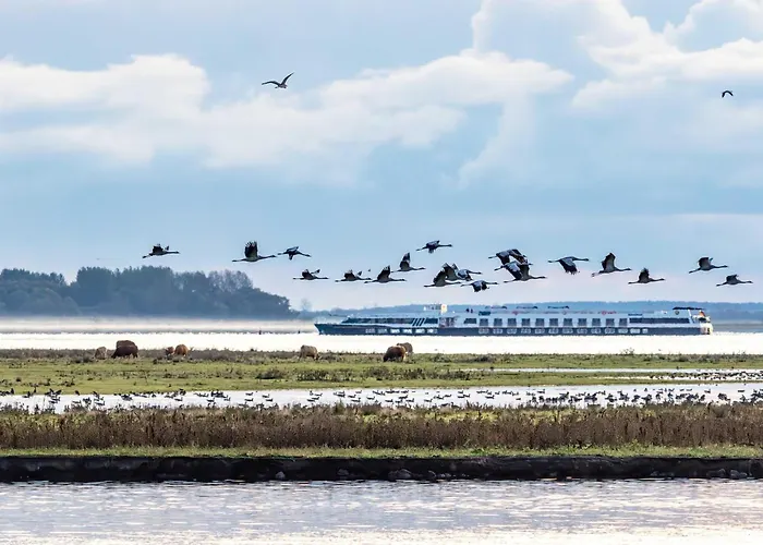 Deichblick - Gemuetliches Im Herzen Von Zingst